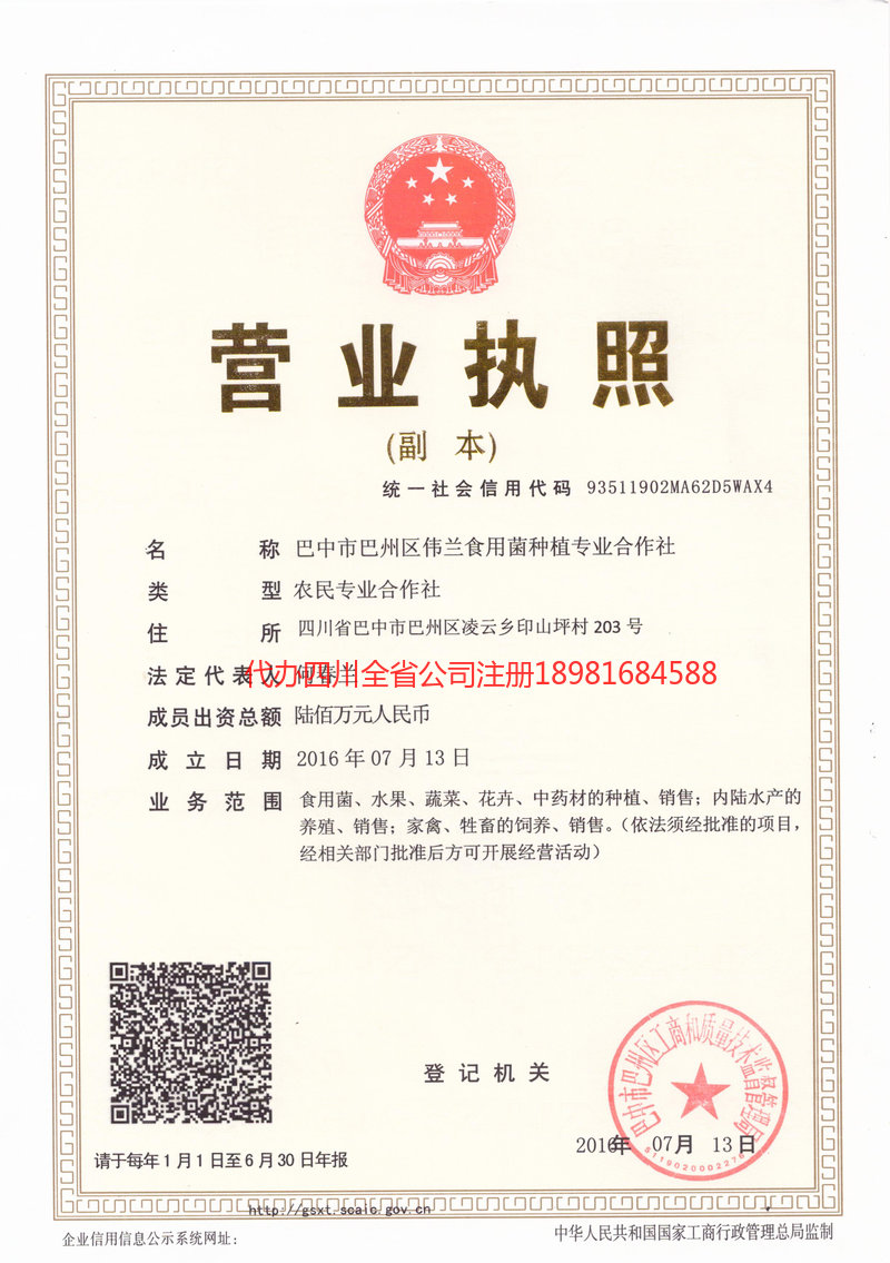 朔州朔州伟兰食用菌种植专业合作社